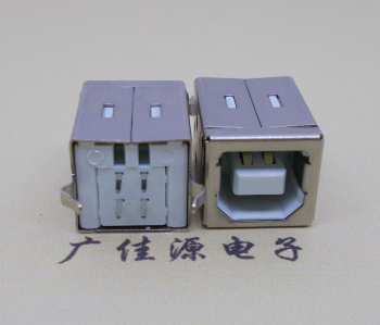 惠城USB BF180度母座 打印机接口 立式直插带赛