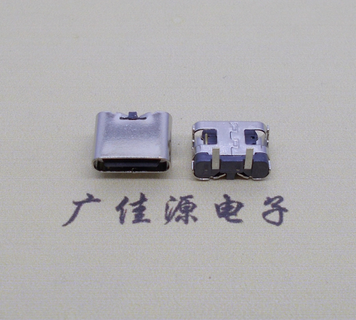 惠城 卧式type c2p母座无弹两脚插板