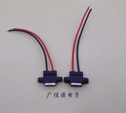 惠城简易type c2p防水母座带螺丝孔焊线式带线