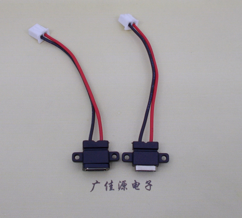 惠城简易type c2p防水母座注塑成型带双螺丝孔焊线式带线带接线端子单充电功能
