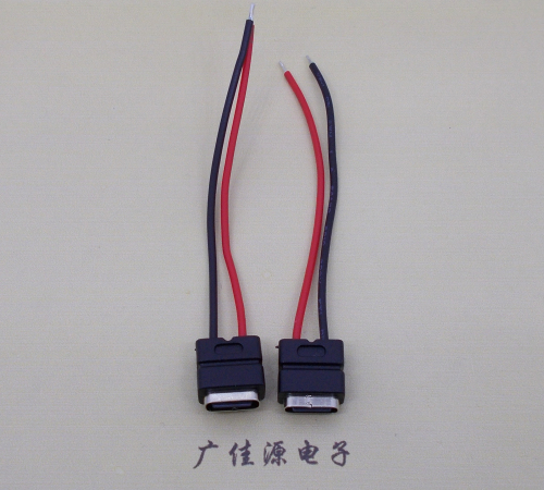 惠城type c2p防水母座焊线式带线注塑成型带接线端子/不带接线端子充电连接器